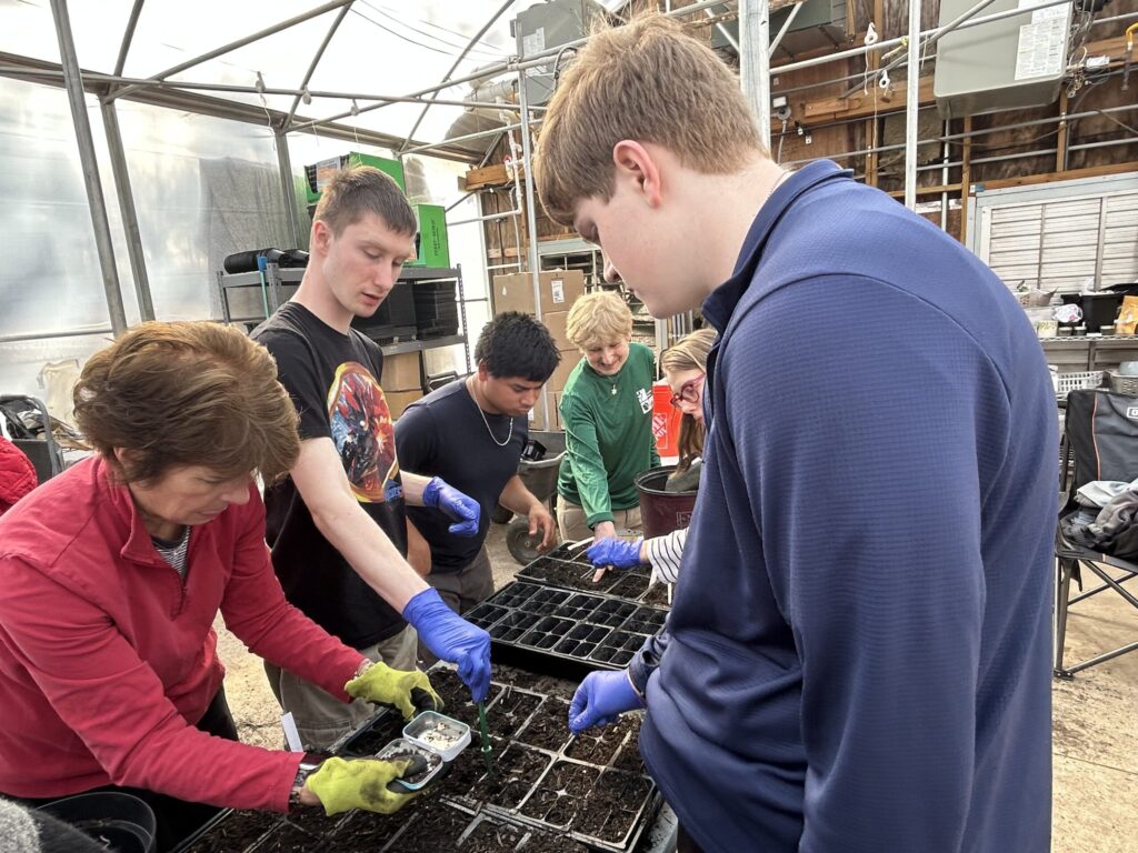 A group of people wearing gloves work together to plant seeds in soil trays inside a greenhouse.