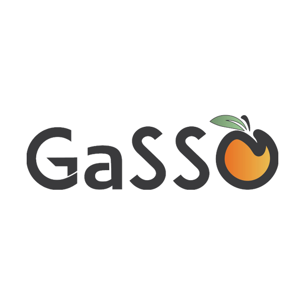 The word "GaSSO" in black font, with the final "O" represented by an orange fruit with a green leaf.